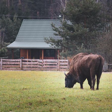 Lesna 21 Dom Polnoc Przy Zalew Siemianowka Villa Luka ภายนอก รูปภาพ